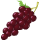 Bunch of Grapes