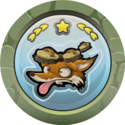Fleet Foxer